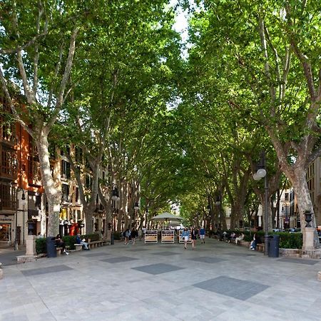 Nivia Born Boutique Hotel Palma de Mallorca Exteriér fotografie