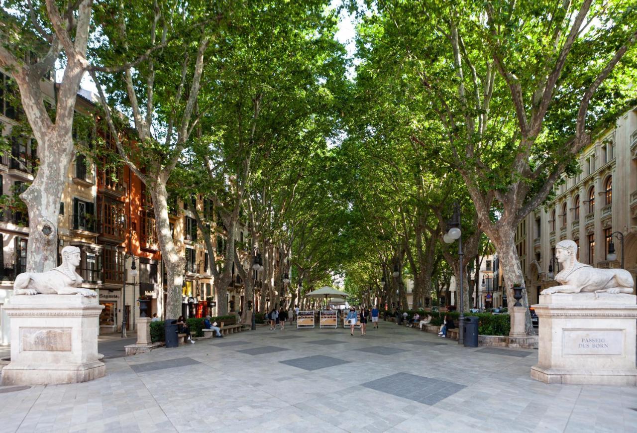 Nivia Born Boutique Hotel Palma de Mallorca Exteriér fotografie